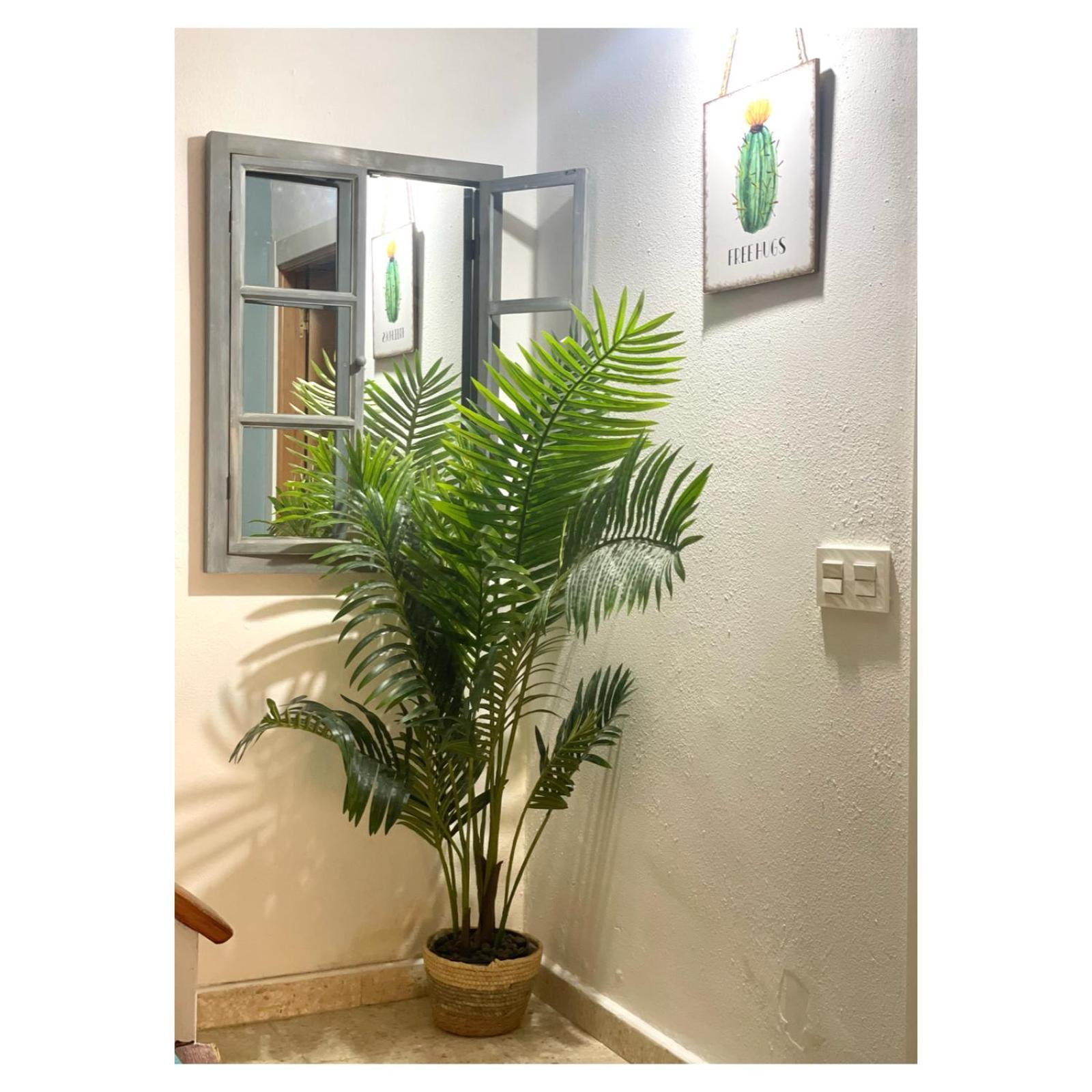 Pontevedra Apartments - Peregrina Family Suite Экстерьер фото